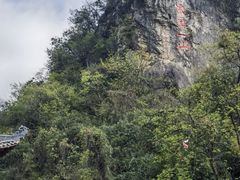 -黔灵山公园