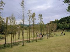 -牛岗山公园
