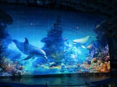 -海合安武汉极地海洋公园