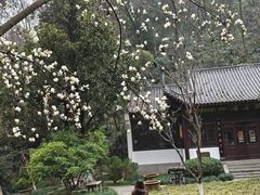-团城山公园