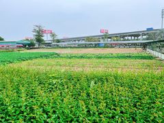 -新地休闲农场