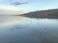 -青海湖国家重点风景名胜区