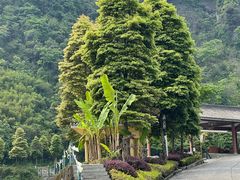 -虹口漂流