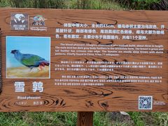 -硗碛藏寨·神木垒景区
