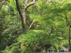 -山外山菜馆(玉泉路店)