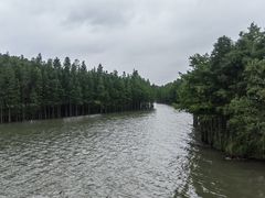 -苏州太湖国家湿地公园
