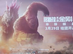 -枫花园汽车电影院(朝阳公园店)