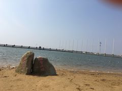 -碧海金沙