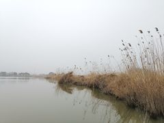 -长兴太湖图影湿地文化园