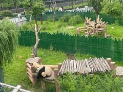 -沈阳森林动物园