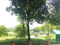 -牛岗山公园