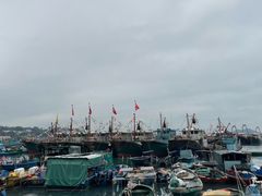 -长洲岛