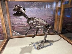 -国家自然博物馆