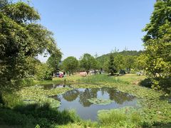 -龙寺生态园
