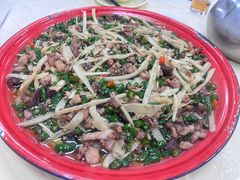 -东吴霸王兔(松青路店)