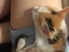 -暖阳宠物医院·犬猫康复中心·骨科