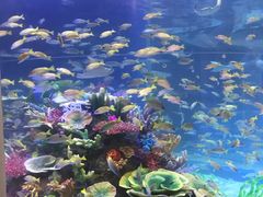 -成都浩海立方海洋公园