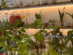 -绿小院(荔湾店)
