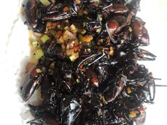 -天强农家菜馆