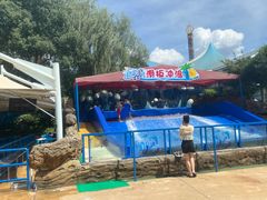 -杭州浪浪浪水公园