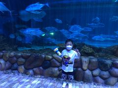 -华夏文旅海洋公园