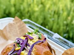 -贡湖湾湿地公园