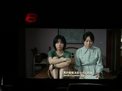 -枫花园汽车电影院(朝阳公园店)