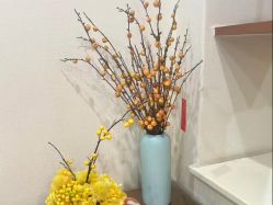 -芙蓉花月子会所(朝阳区店)