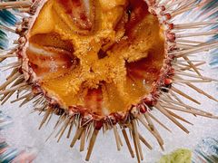 -红叶日料·放题·海胆·定食(星海店)