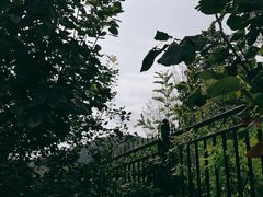 -北京鹫峰国家森林公园