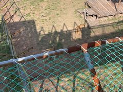 -青藏高原野生动物园