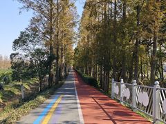 -上海长兴岛郊野公园