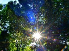 -上海市保健医疗中心