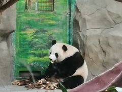 -灵玲国际马戏城