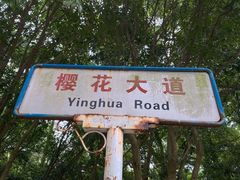 -武汉大学-樱园