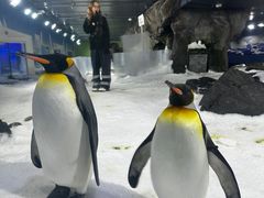-凯莉-塔尔敦海洋生物水族馆
