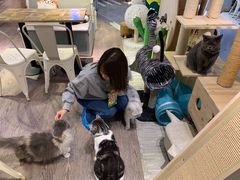 -小时光咖啡馆(开森度假森林店)
