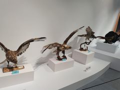 -中国湿地博物馆