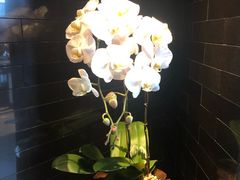 -天龙轩(香港丽思卡尔顿酒店)