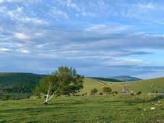 -塞罕坝国家级自然保护区