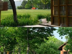 -长田漾湿地公园