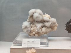 -湖南省地质博物馆