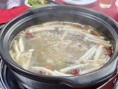 滋补汤底-花苑美食横琴生蚝火锅(拱北粤华路店)