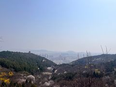 -府君山公园