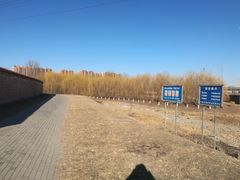 -东坝千亩湖公园