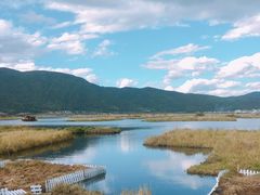 -腾冲北海湿地