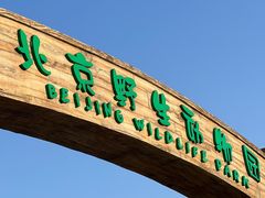 -北京野生动物园