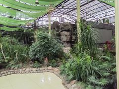 -陶然居·重庆菜(生态园店)