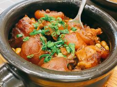 黄焖猪蹄-陶德砂锅(双楠店)