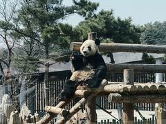 -大连森林动物园